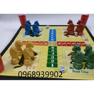 Bộ cờ cá ngựa nam châm