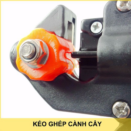 KÉO GHÉP CÀNH CÂY