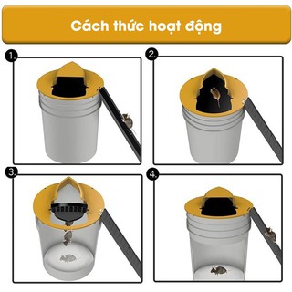 Bẫy chuột, Nắp bẫy chuột thông minh hiệu quả loại 1, Nắp bập bênh