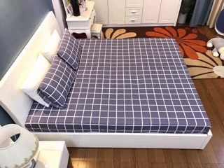 Bộ ga và đôi vỏ gối (Có bán rời)