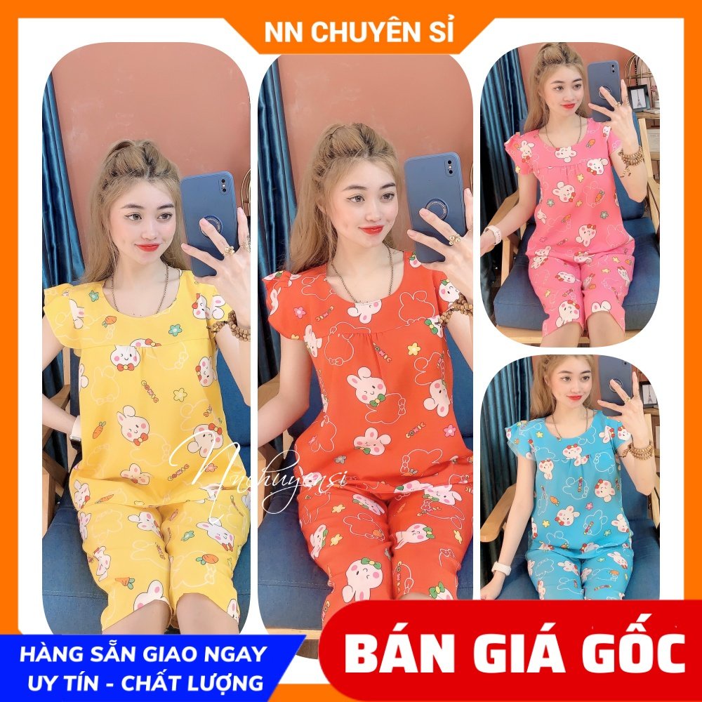 Đồ bộ nữ mặc nhà chất thun mềm mát in họa tiết dễ thương Bộ kate lửng in hình BKT162
