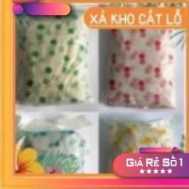 xoaistore ÁO MƯA NILONG CHẤM