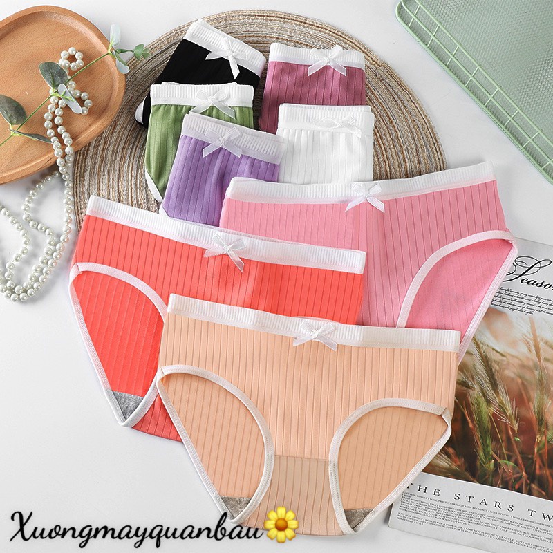 Quần lót nữ Gân Tăm phối viền trắng xinh xẻo, thoáng mát (BẦU BÍ NHỎ BON CHEN) QL-B01