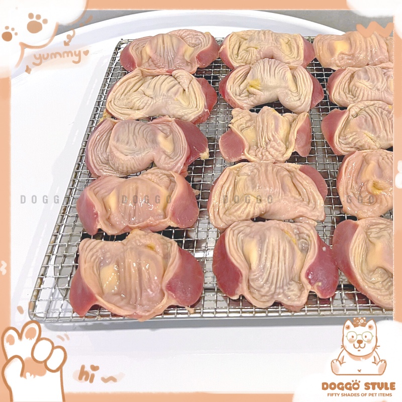 Treat Bánh Thường Mề Gà Sấy Khô DOGGOSTYLE Homemade Gói 50G 100G Cung Cấp Protein Dinh Dưỡng Cho Chó