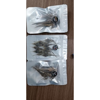 COMBO 10 CON HẢI LONG