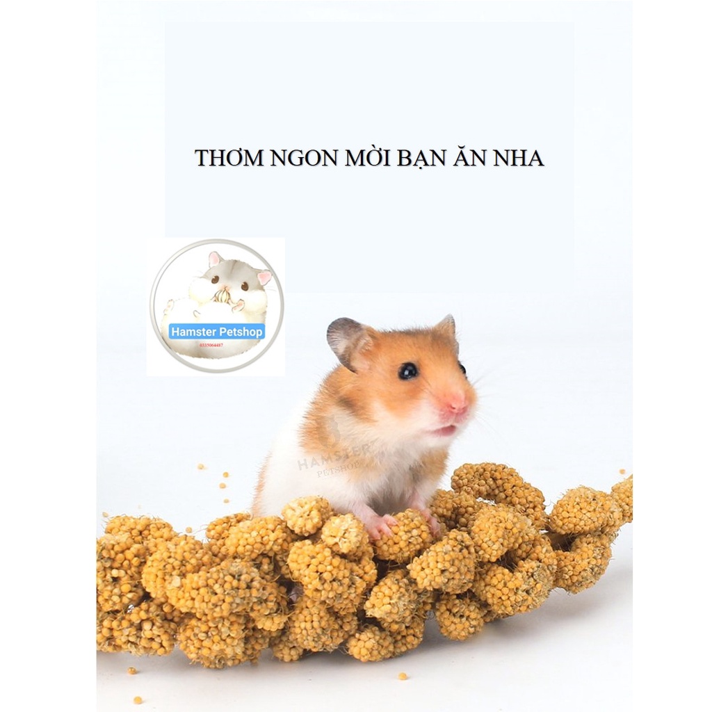 Kê chùm cho hamster, thỏ , bọ , sóc , chim