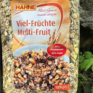 Ngũ cốc Hahne Multi Fruit Muesli 1kg date 2020