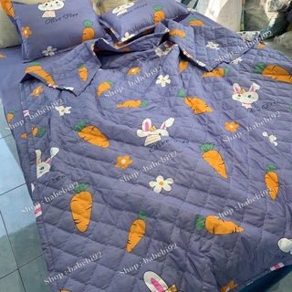 Chăn hè COTTON POLY trần bông 3 lớp (Được chọn mẫu)