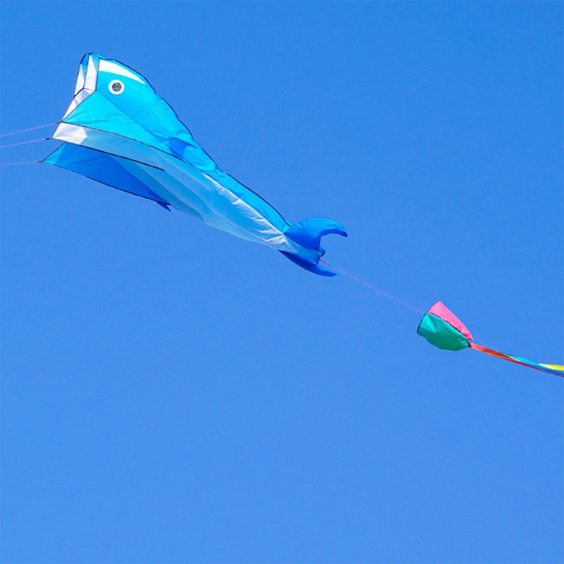 Diều Hình Cá Heo Đồ Chơi Di Động Giúp Giảm Căng Thẳng