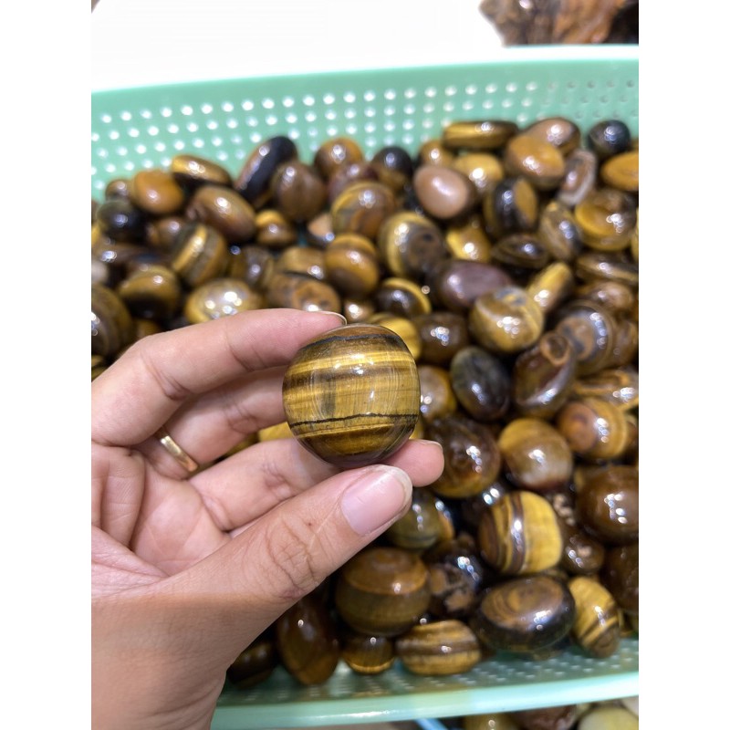 Palm đá măt hô - Đá thanh tẩy, tarot | BigBuy360 - bigbuy360.vn