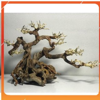 [Siêu Rẻ] Bonsai cổ thụ cho bể cá thuỷ sinh D38xC28 [TS Online37]
