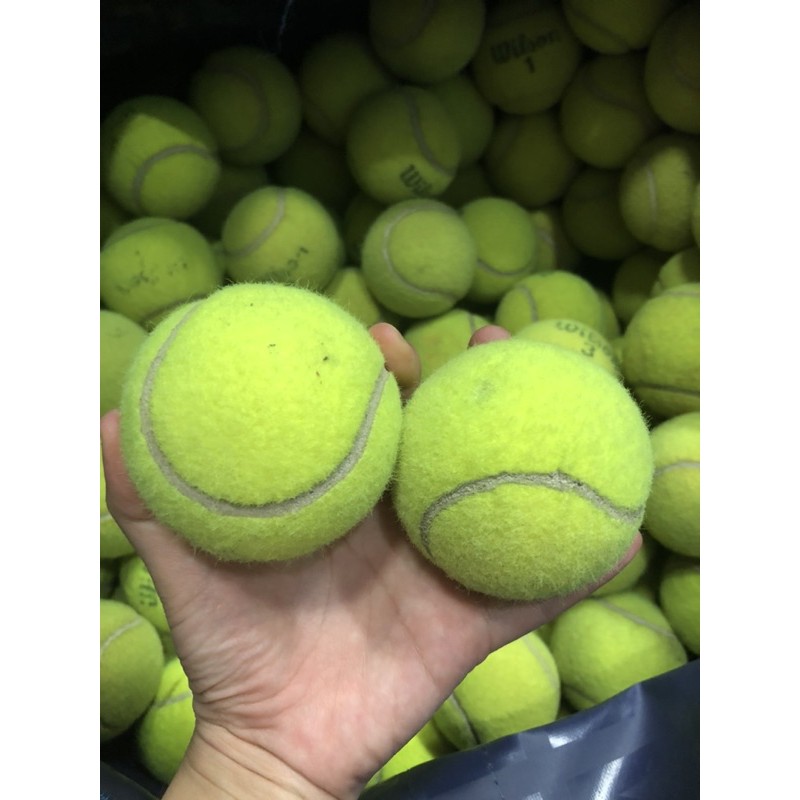 Banh tennis cũ loai 1 - cho thú cưng chơi- trẻ em hoặc người tập chơi