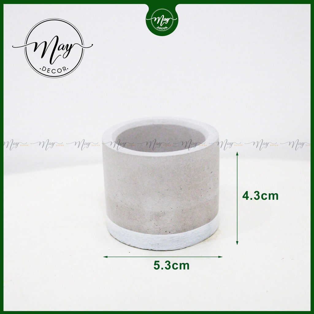 Cây thật, Chậu xi măng, xương rồng tai thỏ mini