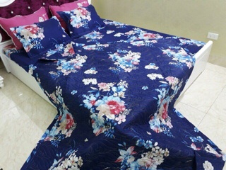 Set chăn ga gối poly