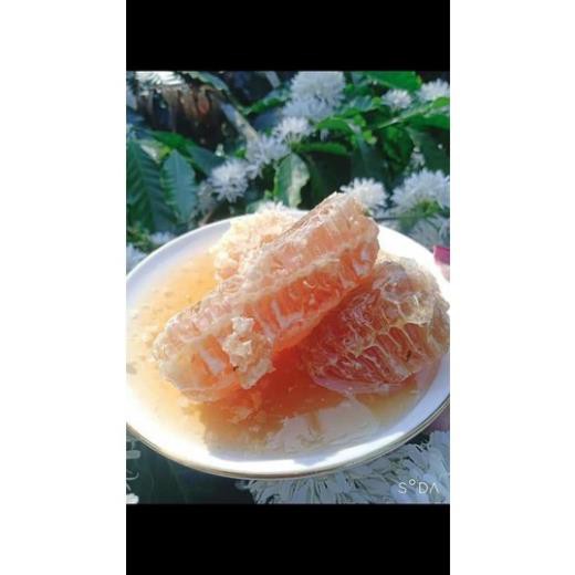 Mật ong Hoa Cà phê Daklak Nguyên chất 100% Đủ lít