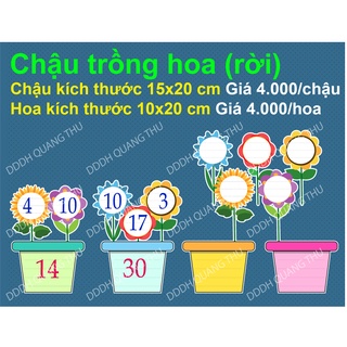 Chậu rời trồng hoa