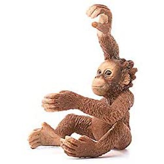 Mô hình SCHLEICH Đười ươi con 14776