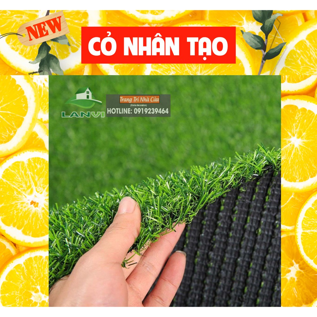 Cỏ nhựa nhân tạo, loại cỏ cao 2cm, kích thước 1m x 0,5m