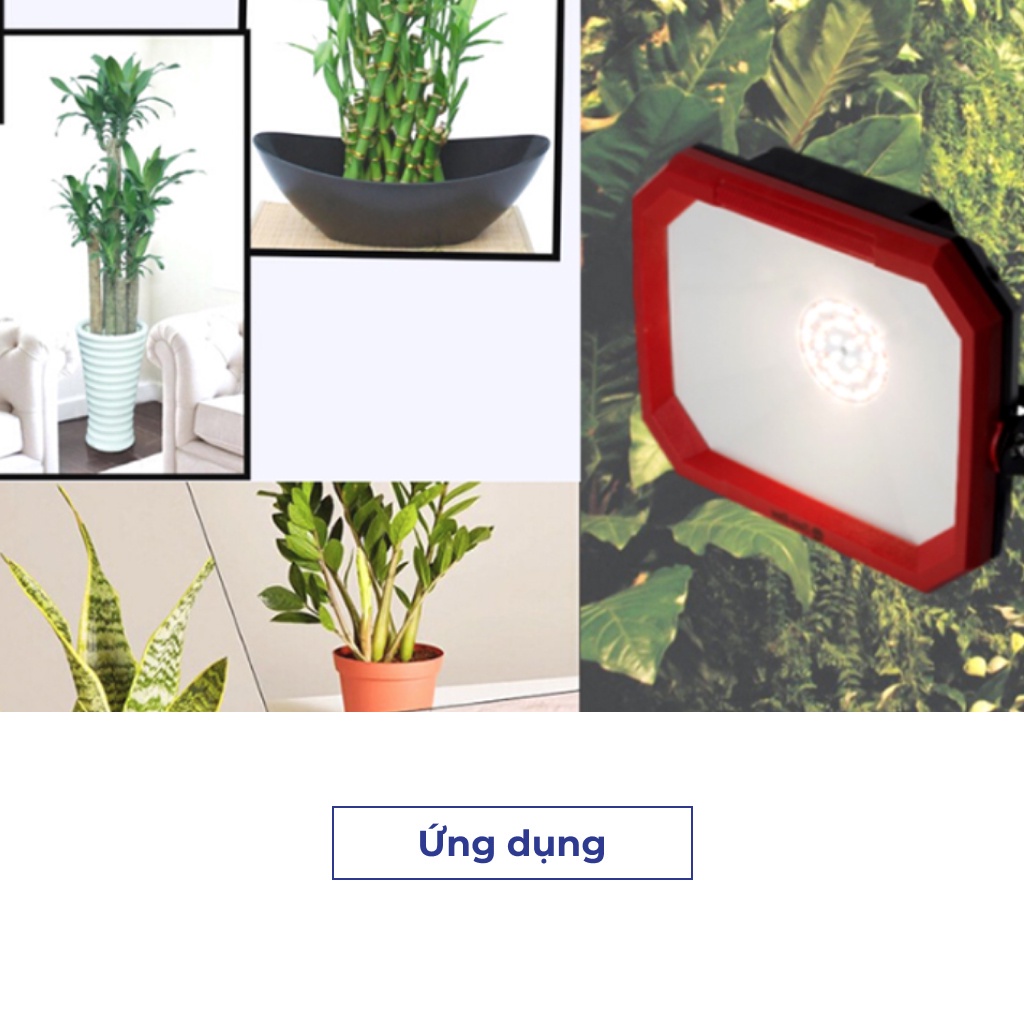 Đèn LED Trồng Cây và Quang Hợp Cho Cây Trong Nhà, Đủ Phổ Như Ánh Sáng Tự Nhiên, Chính Hãng Rạng Đông, Bảo Hành 2 Năm.
