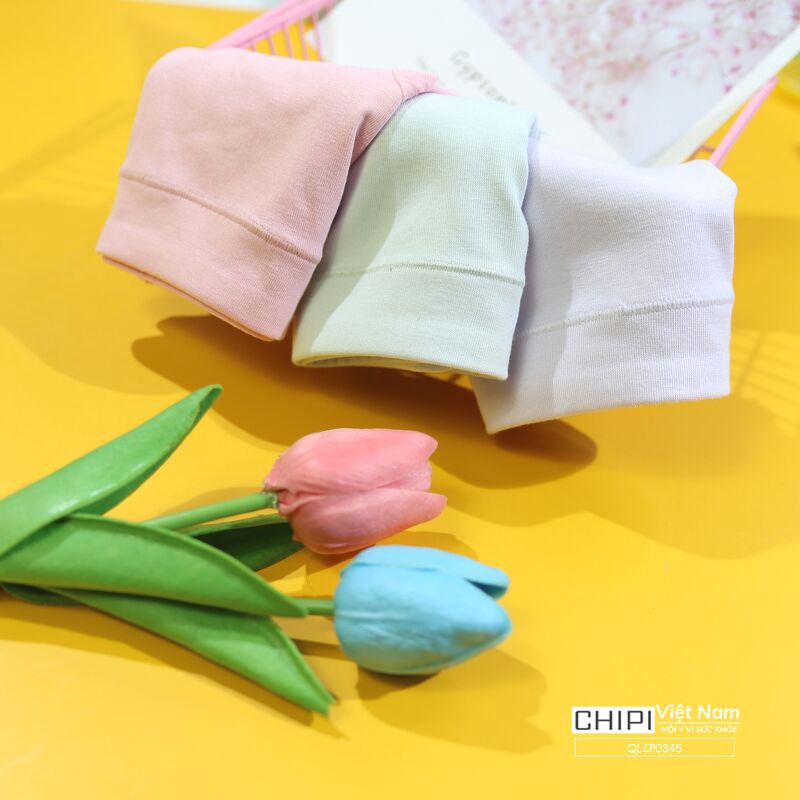 Quần lót nữ cotton viền ren cạp chun che bụng chipi - QLCP0345