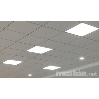 Combo 2 đèn led Panel plus 60 x 60cm 48w HG