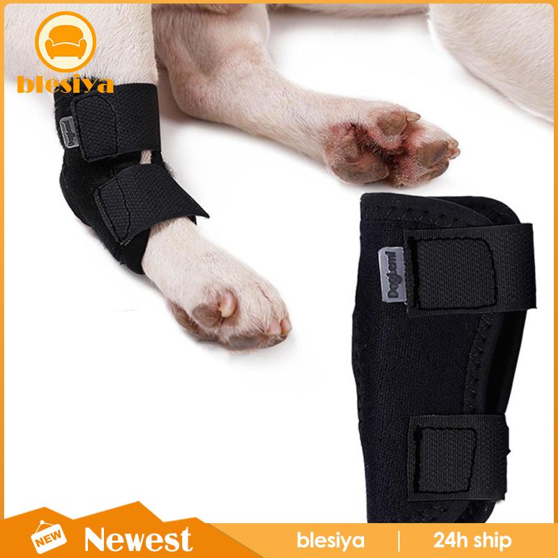 Đai Quấn Chân Hỗ Trợ Chấn Thương Cho Thú Cưng
