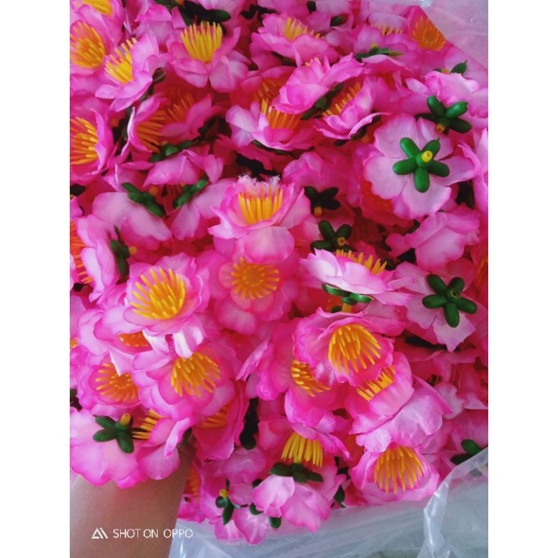 hoa đào rời 1kg