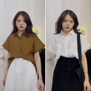 Sơ mi tay hến trắng/nâu