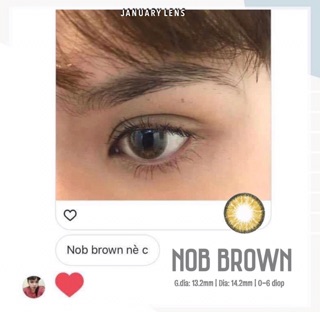 Lens Nob brown (có độ cận)