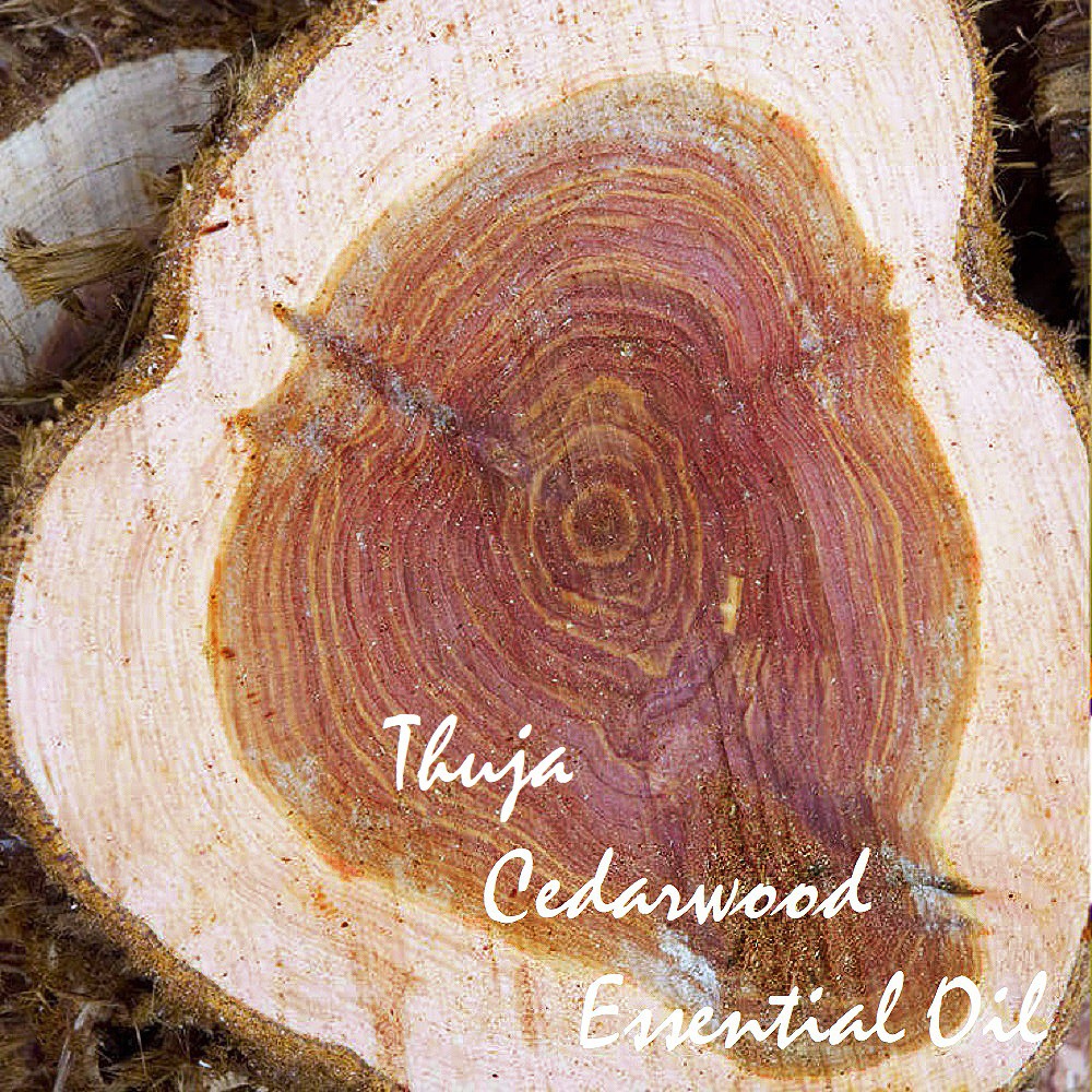 Tinh dầu Hoàng đàn Thuja Cedarwood Essential Oil