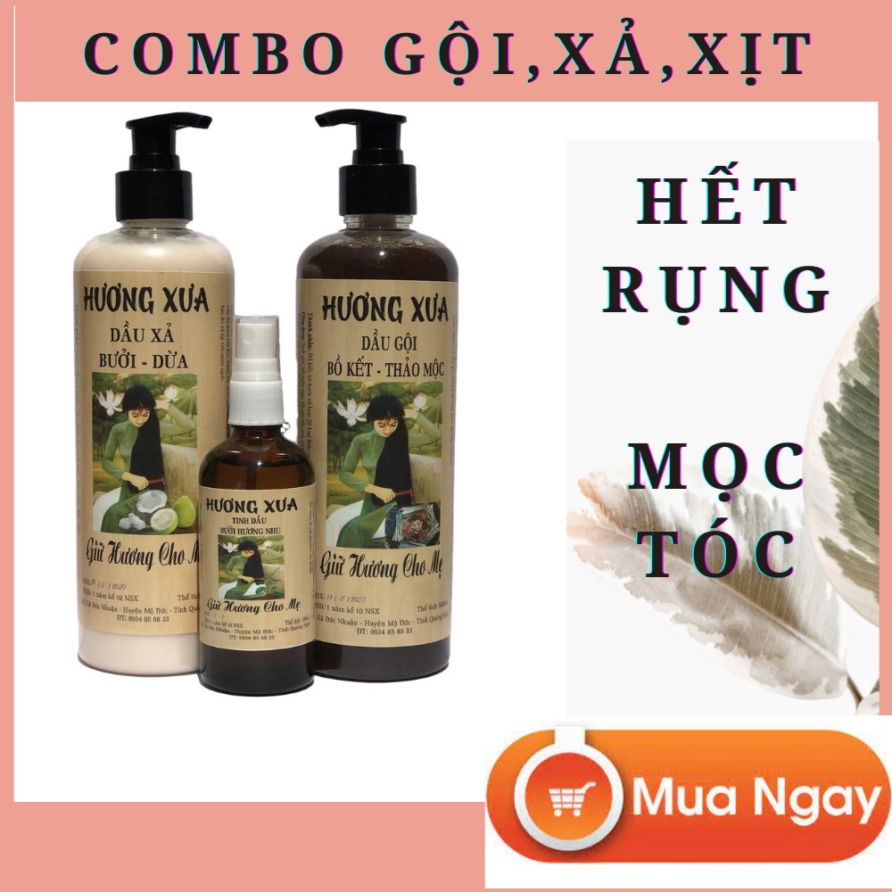 Combo ngăn rụng tóc Dầu gội bồ kết thảo mộc, dầu xả bưởi dừa và Tinh dầu bưởi Hương Xưa