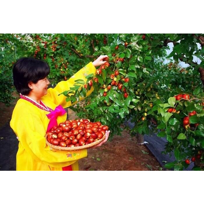 [1kg] Táo đỏ Hàn Quốc - Samsung, quả siêu to, làm quà biếu tết VIP