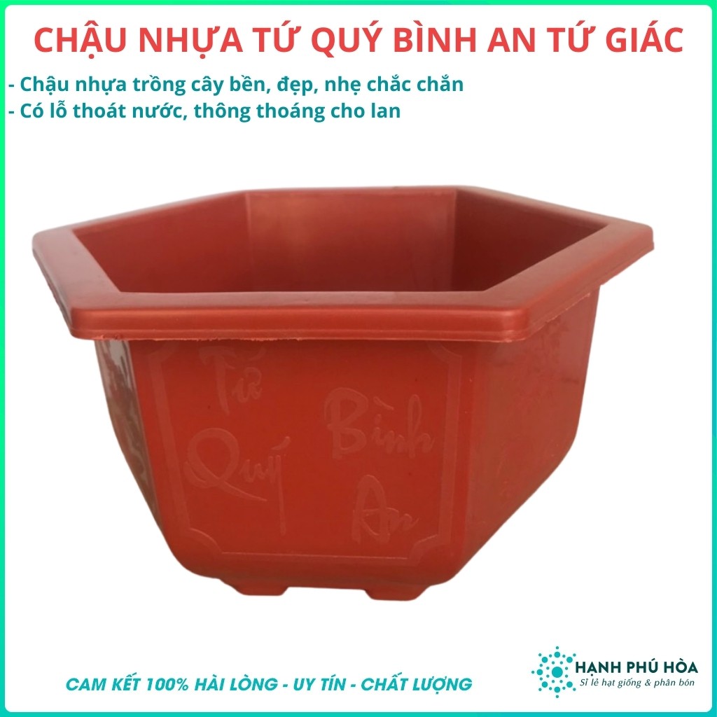 Chậu Tứ Quý Bình An Màu Đỏ Trồng Bonsai, Cây Thấp Nhựa Lục Giác