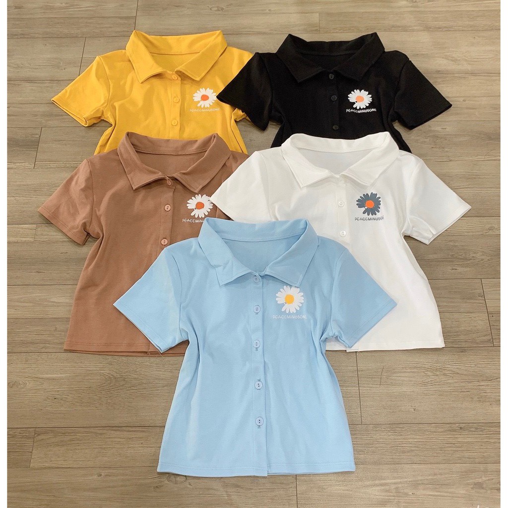 Áo thun borip cổ bẻ họa tiết hoa cúc trước ngực phối nút baby TTSLA0168