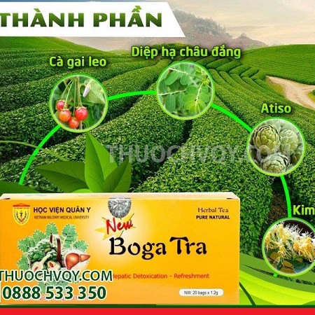 Trà Bổ Gan BOGA TRA, Thanh Nhiệt, Giải Độc, Mát Gan Của Học Viện Quân Y [bogatra]