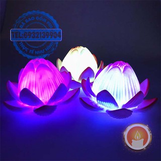 Đèn hoa sen đổi màu [KÈM SẴN PIN]