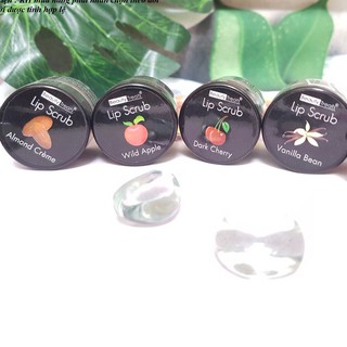 /[ Chính Hãng] Tẩy Tế Bào Chết Môi Lip Scrub