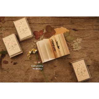 Mini Book: sổ lá cỏ 100 trang