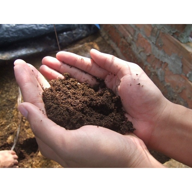 Bao 10dm3 (~5kg) Phân bò nguyên chất LV Farm cho rau màu, hoa cảnh, tốt rễ xanh lá, mập thân đẻ nhánh