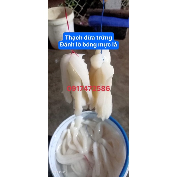 Thạch dừa trứng đánh lờ bóng mực lá, Thạch dừa câu mực lá, Thạch dừa nguyên tấm to