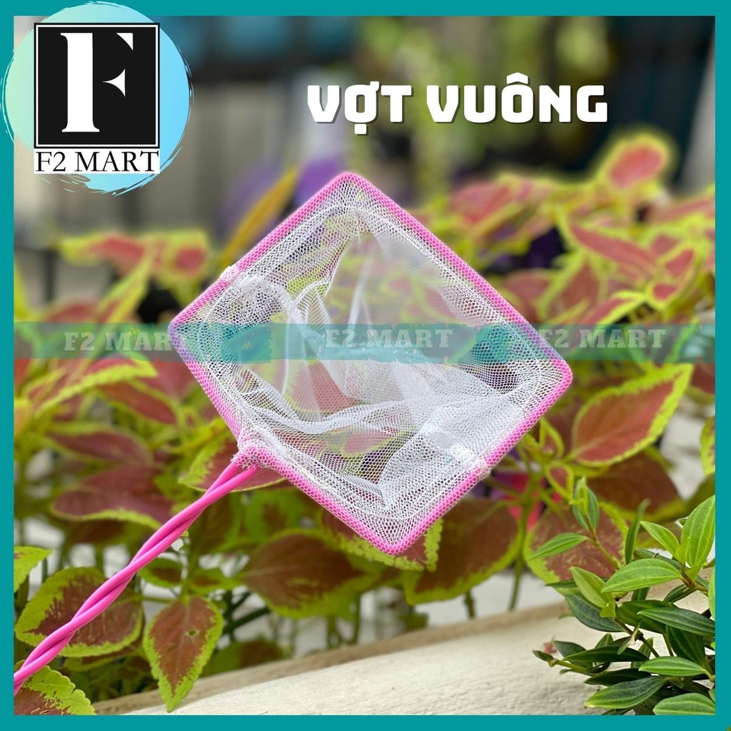 Vợt lưới trắng vuông vớt cá | vợt vuông phù hợp các loại cá nhỏ : betta, guppy, cá mún, các loại cá thủy sinh