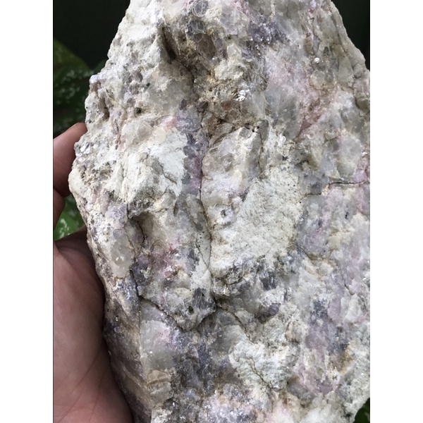 Tourmaline Hồng trên nền gốc thiên nhiên