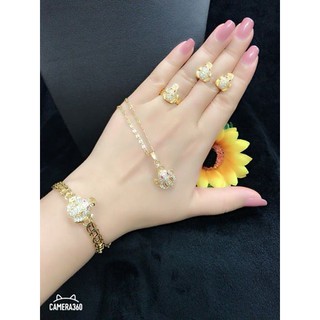 BỘ CÓC NGẬM ĐỒNG TIỀN VÀNG XI