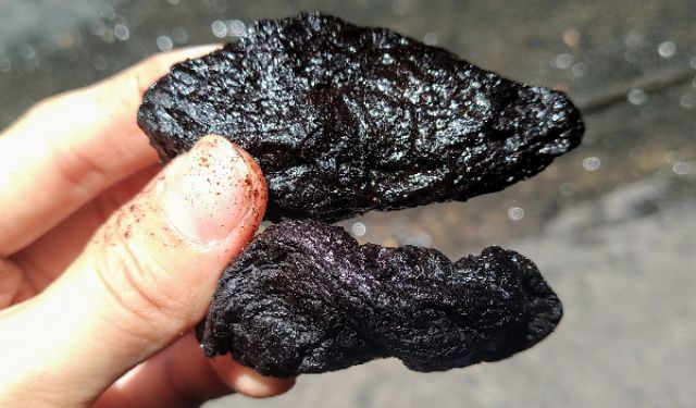 100g Nguyên liệu nấu nước mát Thục địa