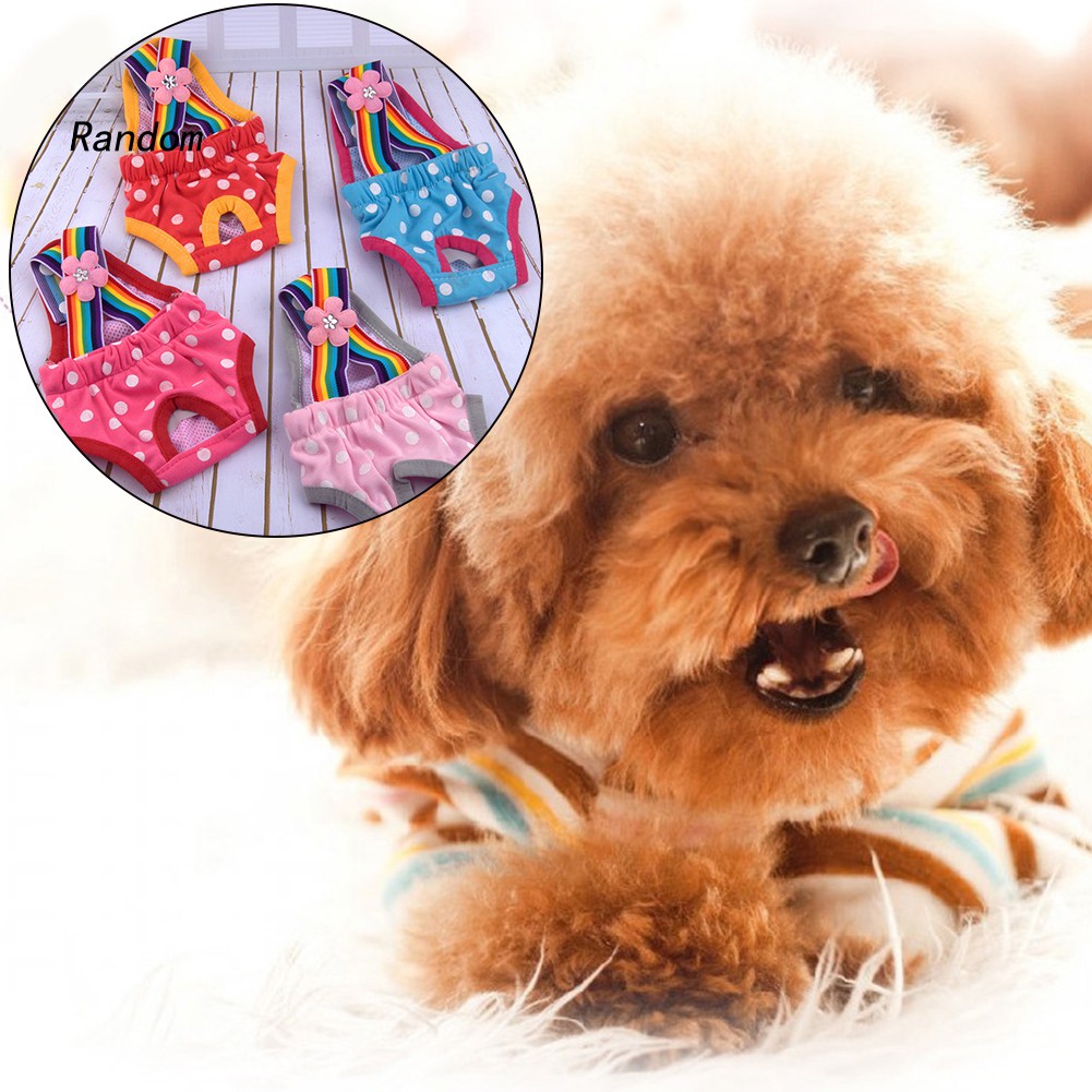 Quần Tã Họa Tiết Chấm Bi Dành Cho Thú Cưng