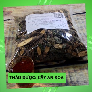 Cây An Xoa Trị Bệnh Gan 💟FREESHIP💟 Giảm Ngay 20K Khi Nhập [DUOCL20K]
