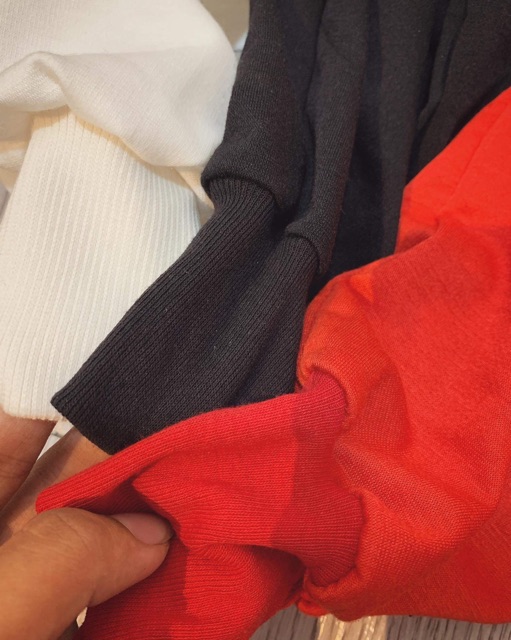 Áo croptop tay rộng (loại 1)T&amp;L