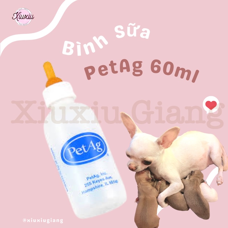 [Cao Cấp] Bình Sữa Cho Chó Mèo Sơ Sinh PetAg 60ml - Xiuxiu Giang