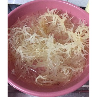 Rong sụn - Rau câu chân vịt
