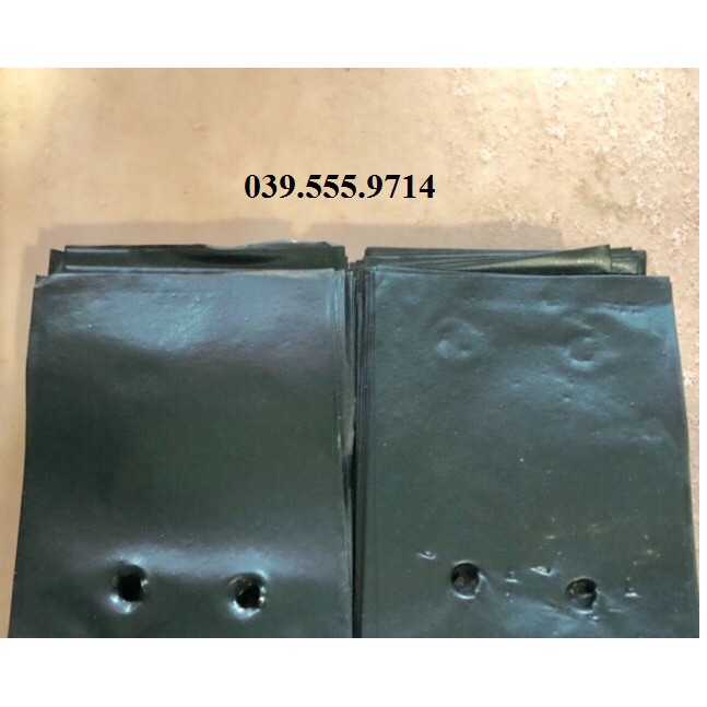 TÚI BẦU ƯƠM CÂY, TÚI TRỒNG CÂY GIÁ RẺ 8x11